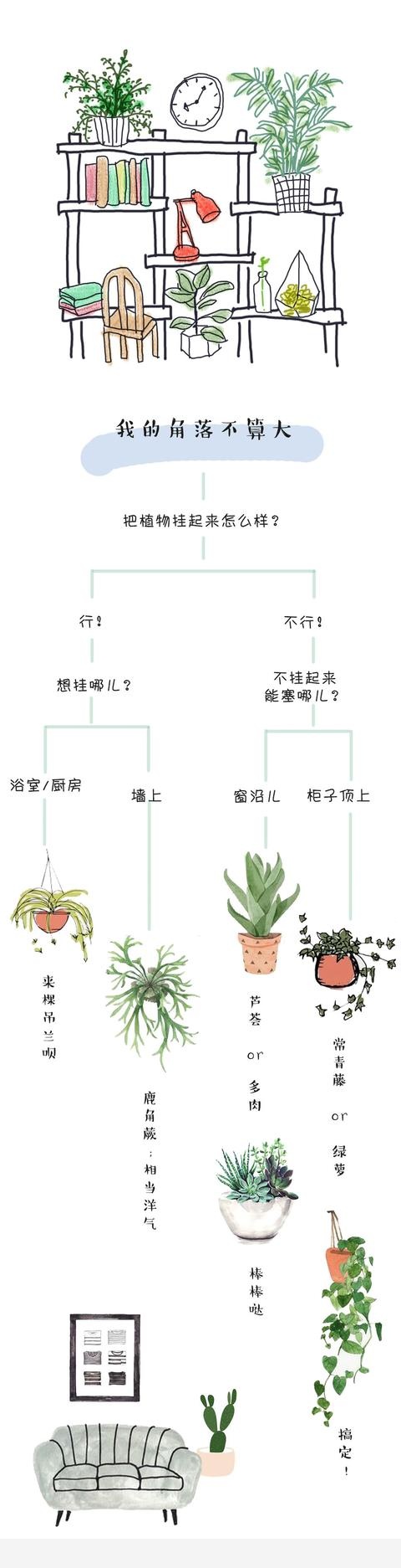 家裡什麼植物簡單好養？-大植養花的回答