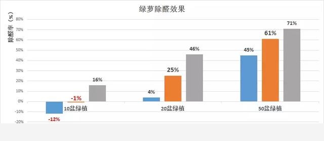 黃金葛真的能除甲醛嗎？杭州魏老爸實測發現想要黃金葛除醛，除非……