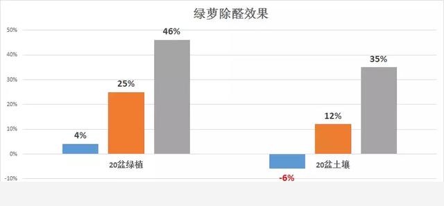 黃金葛真的能除甲醛嗎？杭州魏老爸實測發現想要黃金葛除醛，除非……