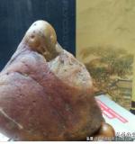 「茶蘭」的來歷與「真茶流派」隨感