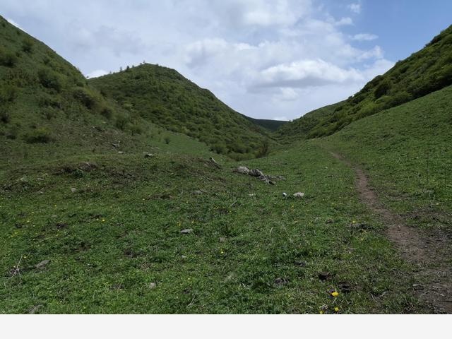 古坡草原立夏看花記