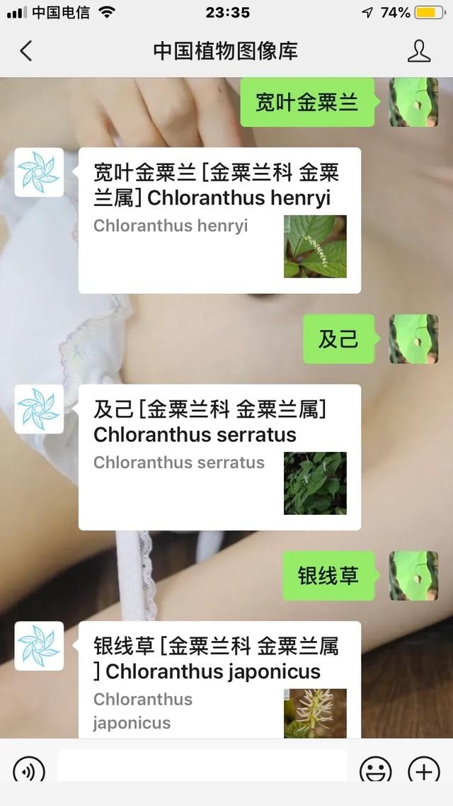 雖然喜歡中藥材和植物，但還是有認不到的，你認識嗎？