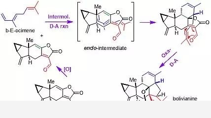 合成可天成，化學巧得之：四川大學劉波課題組近年來研究工作進展