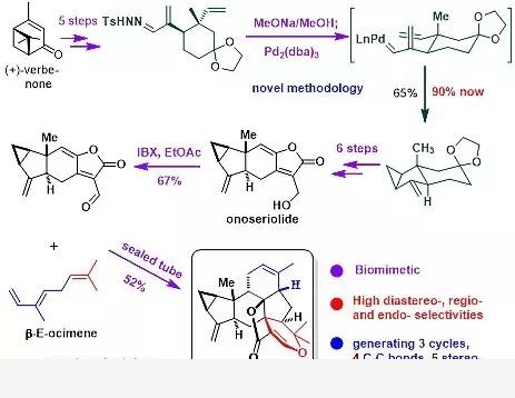 合成可天成，化學巧得之：四川大學劉波課題組近年來研究工作進展