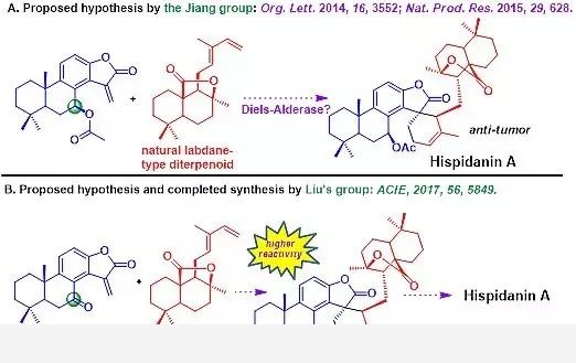 合成可天成，化學巧得之：四川大學劉波課題組近年來研究工作進展