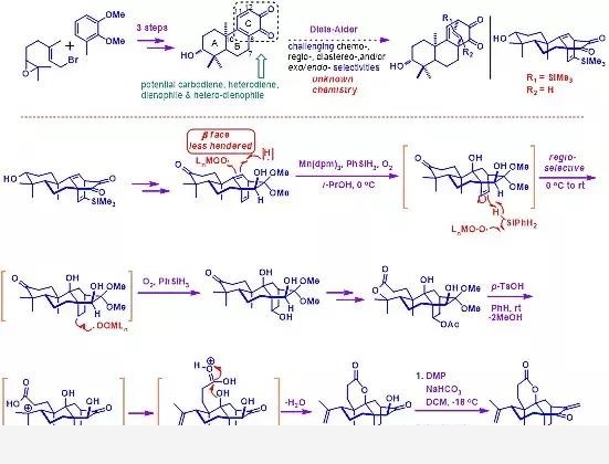 合成可天成，化學巧得之：四川大學劉波課題組近年來研究工作進展