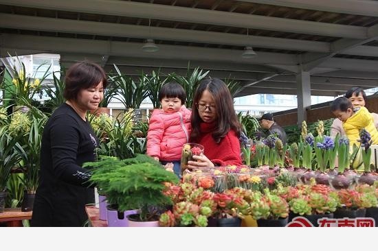 福建建新花卉產業園一期開園，打造「花卉+旅遊」產業鏈