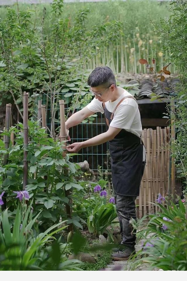 手把手教你玩轉花園裡的生活藝術