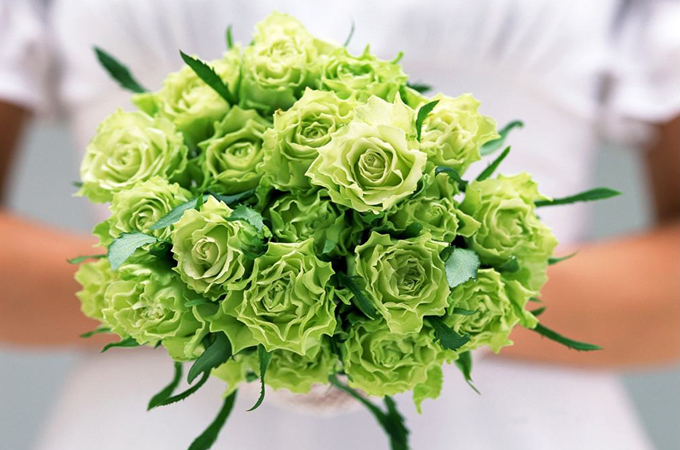 送綠玫瑰代表什麼寓意？