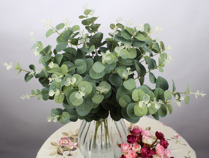 讓人無法抗拒的「暖男系」植物:尤加利葉