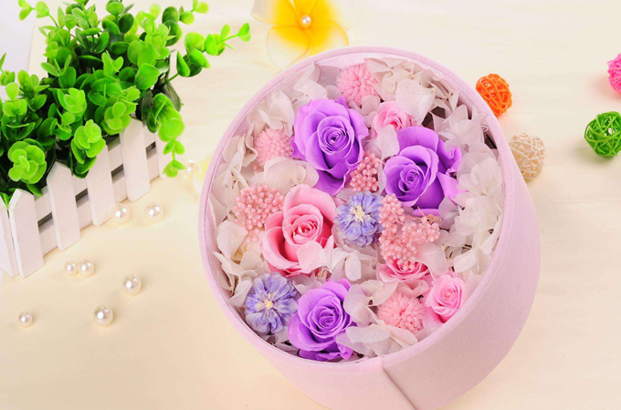 紫玫瑰的花語、意義是什麼？送紫玫瑰給女友合適嗎？